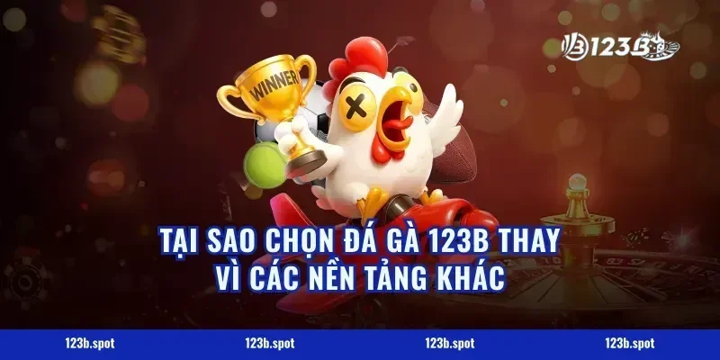 Tại Sao Chọn Đá Gà 123B Thay Vì Các Nền Tảng Khác