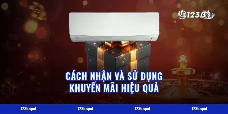 Cách Nhận Và Sử Dụng Khuyến Mãi Hiệu Quả